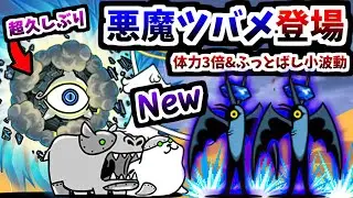 無敗編成v5で挑む Ver.13.6新レジェンド0 第14章 「行楽地デラ・コスパ」　【にゃんこ大戦争】