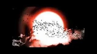 The Temper Trap - Science of Fear