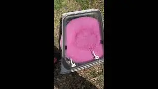 caravan window delamination fix