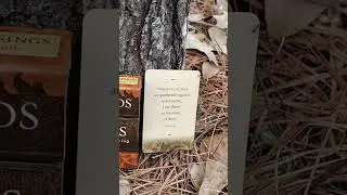 Barry Barry  is live! JOHN 21