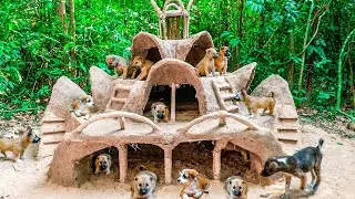Amazing Mud House Built for a Lucky Dog!