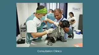 The IWCT Treatment Centre