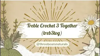 Treble Crochet 3 together (treb3tog or tr3tog) all in the same stitch