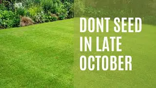 Why you SHOULDN'T Seed in Late October