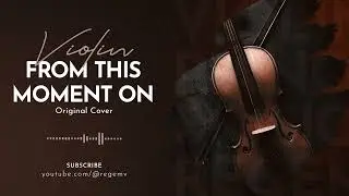 From This Moment On - Violin Cover