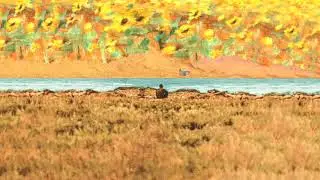 FUR - 17 to 8 (Official Audio)