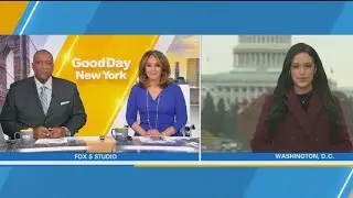 Trump, Mamdani meeting: FOX 5 NY's Morgan McKay on what to expect