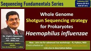 GE11 -Sequencing Haemophilus influenzae - Whole Genome Shotgun Sequencing #wgs #assembly #gaps