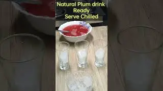 Natural Plum Drink Recipe - Homemade Plum Juice Concentrate - Healthy  Alu Bukhara drink Recipe