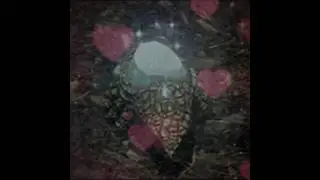 Crystal Lizards are too cute & that's why they get an edit | Dark Souls #edit #darksouls #darksouls3