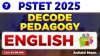 Decode Pedagogy: PSTET 2025 