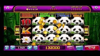 Tonight Panda lovers 😘🥰🤑