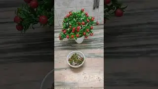 Kala Chana Mixture Recipe | High Protein Snack | Cooking With Shamsi #food #indianfood