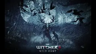 The Witcher 3 : Wild Hunt : Next Gen - Patch 4.04