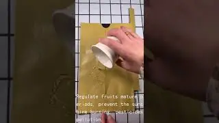 Paper fruit bag for mango in Bangladesh Sri Lanka +8613583554035