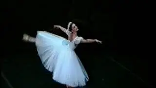 Les sylphides Dupont Platel Fallou