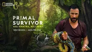 PRIMAL SURVIVAL|HEZEL| NATIONAL GEOGRAPHIC| AMAZON FOREST| SNAKES | SECRET OF AMAZON| INDIA |AMERICA