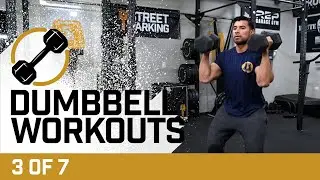 Dumbbell Workout 3