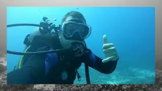 Turtle Heaven - Kona Dive Company