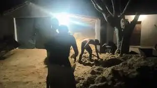 Benedito colocando o bagaço de cana no armazém 