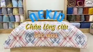 Chăn l&ocirc;ng cừu Nhật Bản Nekio, chăn cao cấp của Nhật