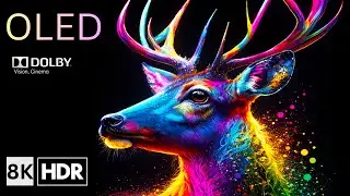 Best Ultra HD Nature Video 8K | World Scenic Views Perfect Demo for 4K & 8K TVs