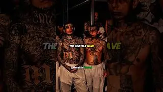 Cartel Vs Special Forces, Who wins?