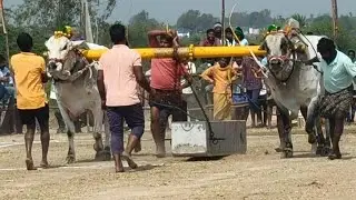 బల్లాన్ న్యూ క్యాటగిరి విభాగం రెండవ జత బంకుమీది దర్శకుడు  రెడ్డి.