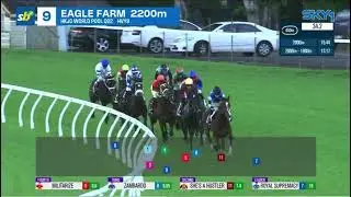 ROYAL SUPREMACY | HKJC WORLD POOL Q22 GROUP 1 2026