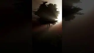 Tree Of Dead Souls