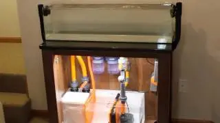 NEW Mr Aqua 12 Gallon Long - Overflow Power Failure Testing