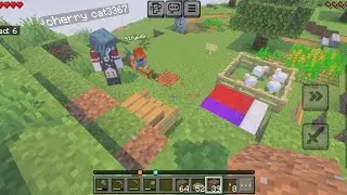 minecraft with friends