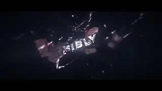 Fibly's Intro