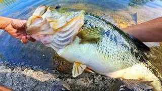 Catching MONSTER BASS Fishing In The SPRING! (BIG NEWS!!!)