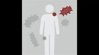 Beginner Microbiome Analysis 2024 | 03: Microbiome Statistics and Visualizations