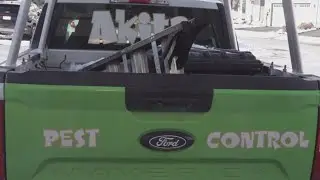 They're cold too | Pest control company warns colder temperatures driving pest invasions