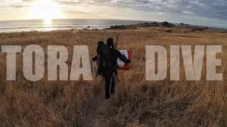 First Time Diving Tora, East Coast | Big pauas, Crayfish and Stunning Coastline