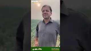 Aftab Ahmad discusses NARC G1 Garlic & its benefits of sowing in the most fertile lands in Pakistan.