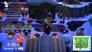 Animal Crossing NH 2025 (DEC 23th) Hanging out with JoyEE FIshing for A Stringfish