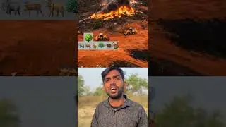 deforestation in telangana 😦 deforestation of 400 acres #poem #shorts ##ytshorts #deforestation