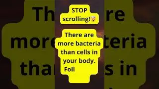 STOP scrolling!🤯