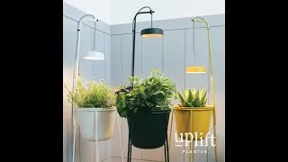 Uplift Planter by Modern Sprout x Kickstarter