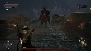 Lords of the Fallen Ruiner(NO DAMAGE)