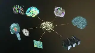 computerskabt virtuel hjerne i 3D