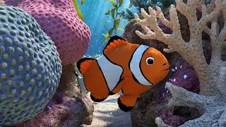 Finding Nemo Baby Dory Got Stuck in a Coral Reef | Kids Songs & Nursery Rhymes