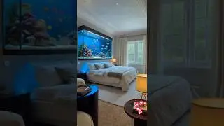 Bedroom fish aquarium #shorts #aquariumhobby #home
