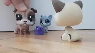 Minişler:Fakir Miniş / Lps Portakal Tv /