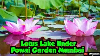 ll Lotus 💐 Garden ll Powai Garden Mumbai ll The Singster Vlogs 👍