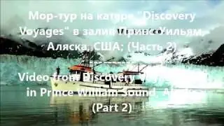 Мортур на катере Discovery Voyages в залив Принс Уильям, Аляска. Часть 2