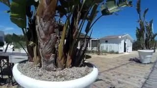coccaro beach club summer 2017